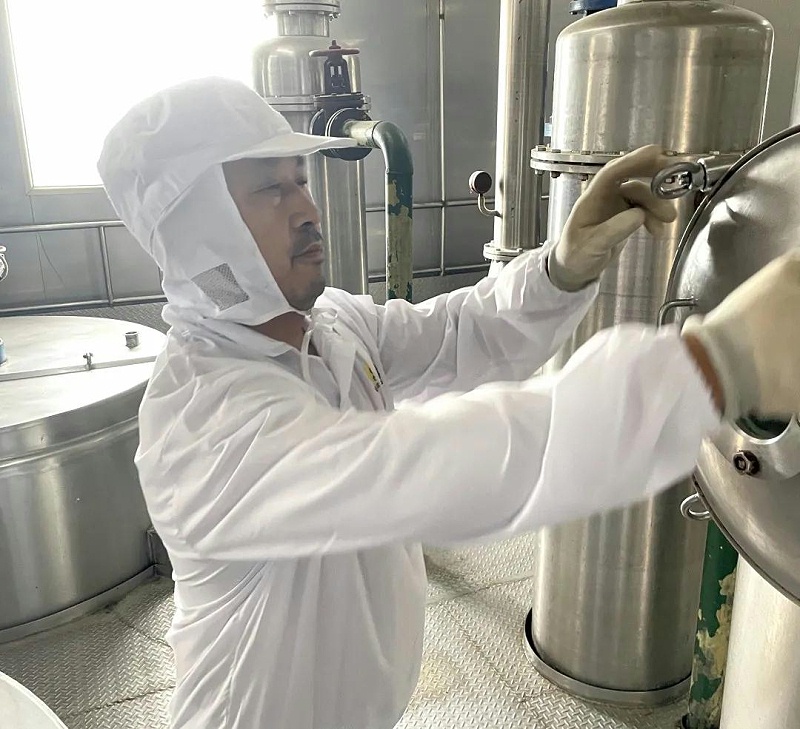 花帝最美劳动者2