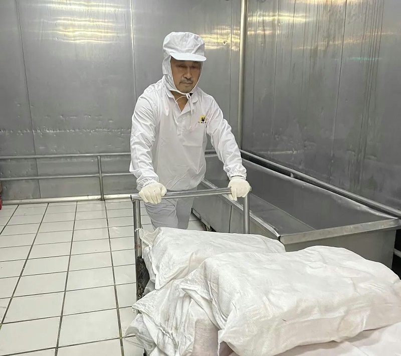 花帝最美劳动者3