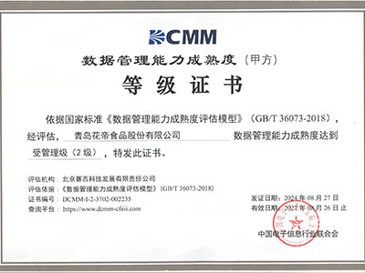 数据管理能力成熟度登记证书